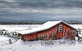 Little Red Shed_32428